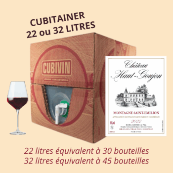 Cubitainer de 22 ou 32 litres - Montagne Saint-Emilion 2022